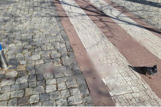 Ślady na chodniku w Warszawie po napaści nożownika 