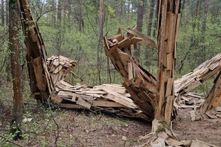 Leszy, słowiański strażnik lasu, padł. Powaliła go wichura podczas burzy. Wcześniej strzegł Puszczy Bydgoskiej