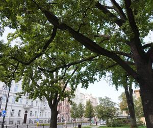 Wrześniowy upał w Lublinie i spokój w centrum miasta