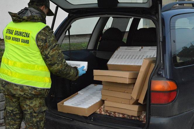 Nielegalny biznes produkcji papierosów na pierwszym miejscu 