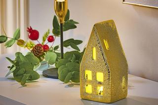 Rośliny bożonarodzeniowe