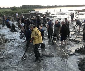 Poszukiwacze bursztynu w Rewie. Jak wyglądają poszukiwania złota Bałtyku? 