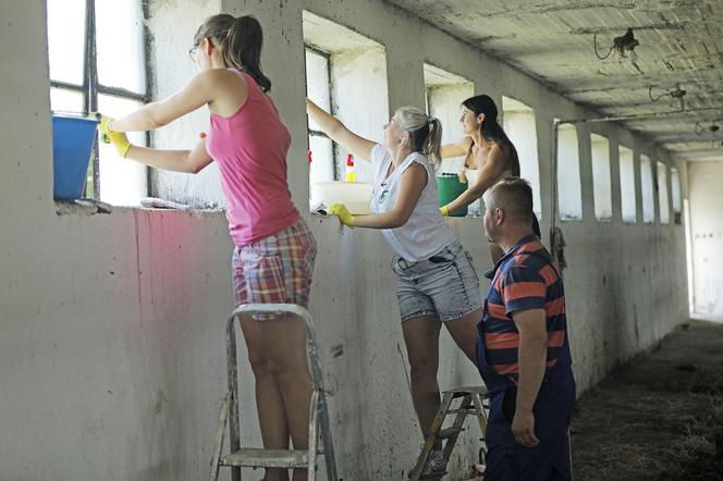 Kandydatki Łukasza z Rolnik szuka żony myją okna w oborze