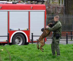 Poznań: Ćwiczenia Wolf-Ram 23 w Parku Chopina