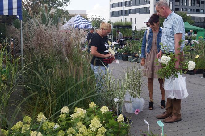 Jesienny Kiermasz Ogrodniczy 2023. Tłumy przy bydgoskim "Torbydzie" [ZDJĘCIA]