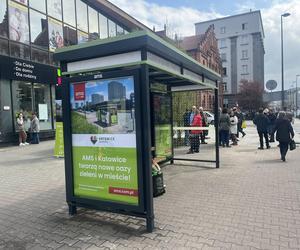 Katowice mają już pierwszy zielony przystanek. Stanął na ulicy Mickiewicza 