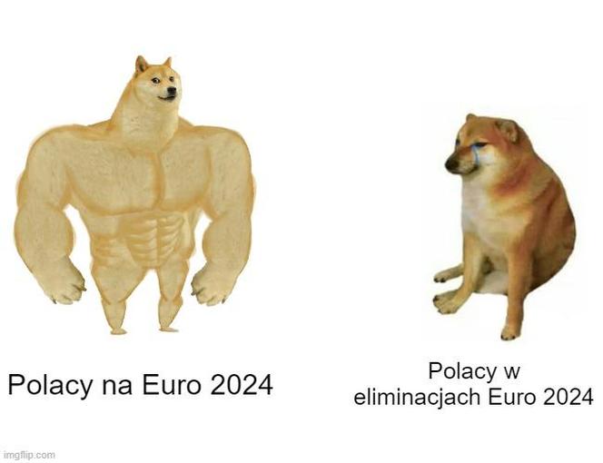 Polska - Holandia MEMY