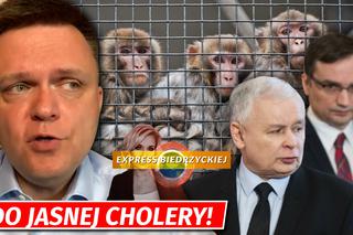 Hołowni puściły nerwy. Do cholery!. Chodzi o PiS [EXPRESS BIEDRZYCKIEJ]