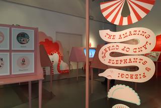 The Amazing Land of Quarks, Elephants and Pierogi w Tarnowie