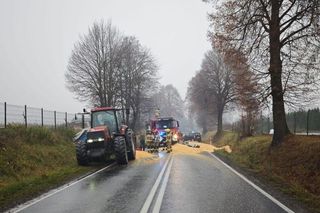 Deszcz kukurydzy pod Oświęcimiem. Droga została zasypana ziarnem