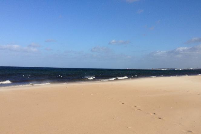 Plaża w Brzeźnie [ZDJĘCIE DNIA]