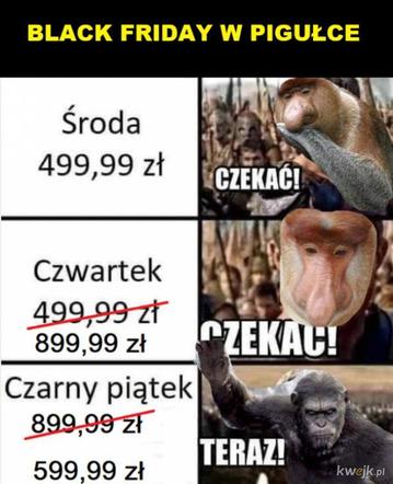 Czarny humor na "Czarny Piątek". Zobacz najlepsze memy o Black Friday 