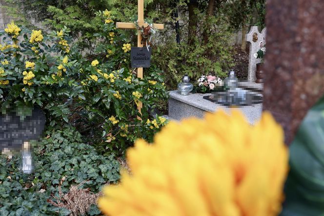 Tak wygląda grób prof. Staniszkis rok po jej śmierci 