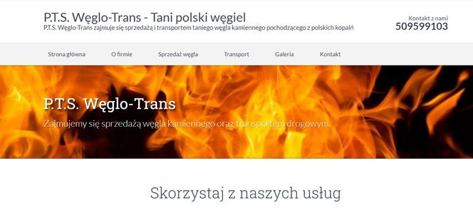 P.T.S WĘGLO - TRANS PAWEŁ JUSZCZAK