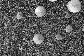 Kosmiczne grzyby na Marsie! Szokujące odkrycie naukowców