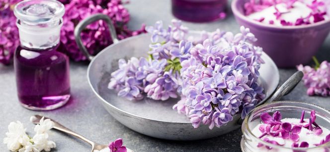 Liliowy syrop z kwiatów bzu lilaka – aromatyczna perełka z ogrodu pełna smaku i zdrowia!