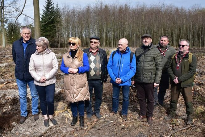 Las Pamięci w Marchwaczu