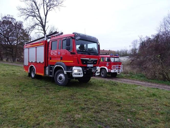Krowa utknęła w błotnistym rowie. Bohaterska akcja strażaków pod Drawskiem