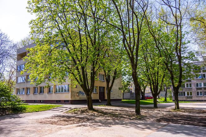 Osiedle prototypów w Warszawie - zdjęcia. Zobacz eksperymentalne bloki z wielkiej płyty