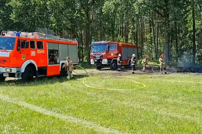 Płoną lasy! Opole: "Wilgotność można porównać do kartki papieru". Zakaz wstępu wisi w powietrzu