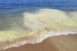 Gdańsk: Woda w Bałtyku ma kolor żuru! Czy jest groźna dla ludzi? [ZDJĘCIE]