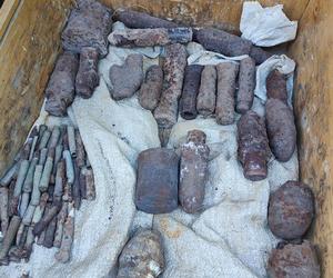 Niewybuchy w wielkopolskim lesie: znaleziono m.in. granaty i amunicję