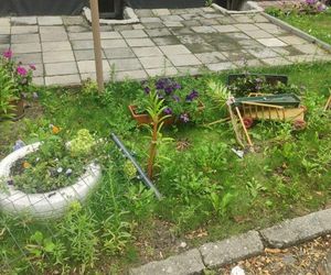 39-latek wjechał w rabatkę przy bloku i uciekł do swojego mieszkania. Później było tylko gorzej