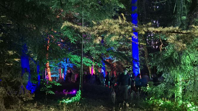Olsztyn zamienił się w magiczną krainę. Park Świateł przyciągnął tłumy!
