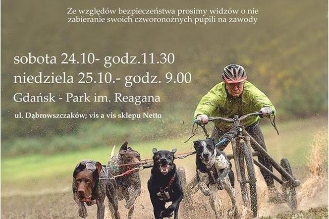 Gdańsk: W weekend wyścigi zaprzęgów w Parku Reagana. Zobacz najszybsze psy w akcji!