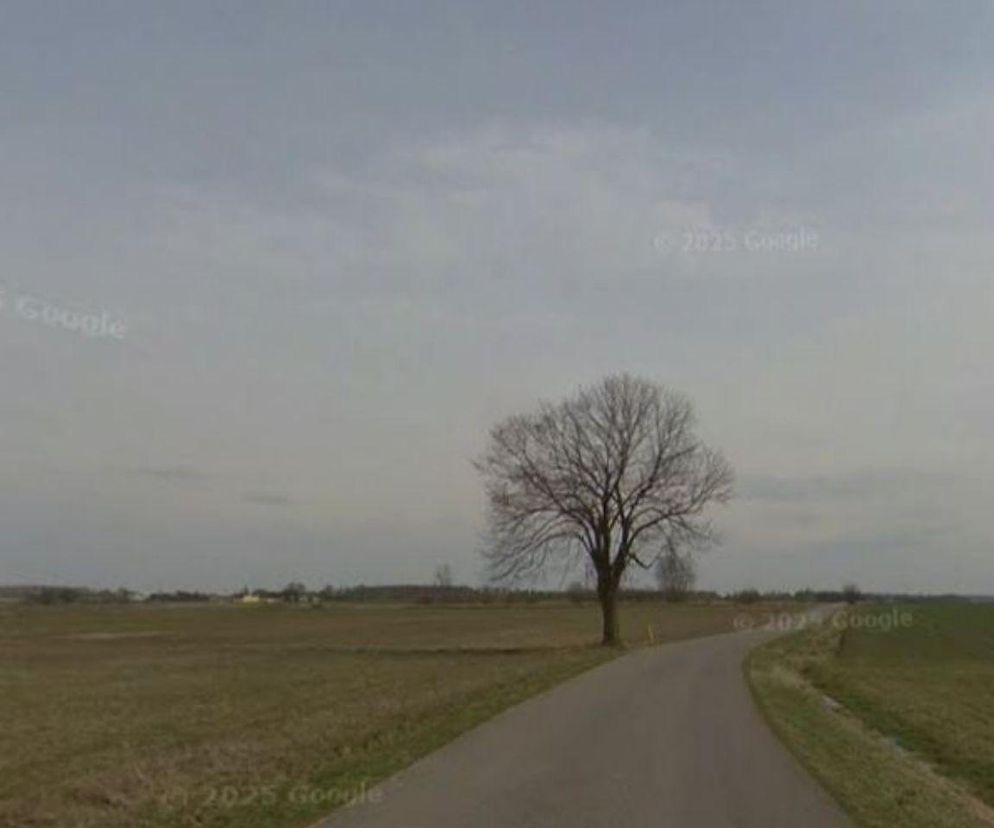 Wylągi