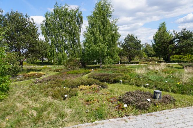 Ogród Botaniczny w Kielcach