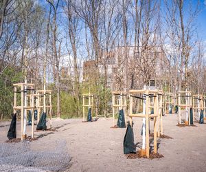 Park Żerański w Warszawie