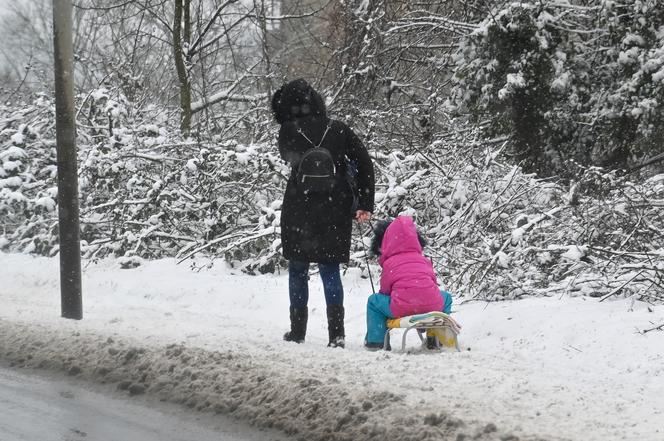 Śnieżny Szczecin 