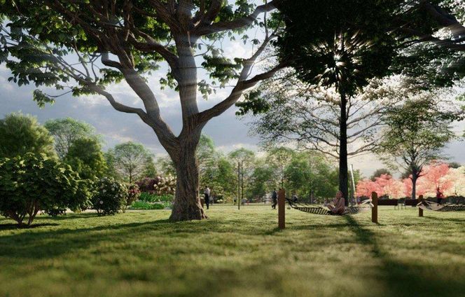 Godów nazwie park na cześć Franciszka Pieczki