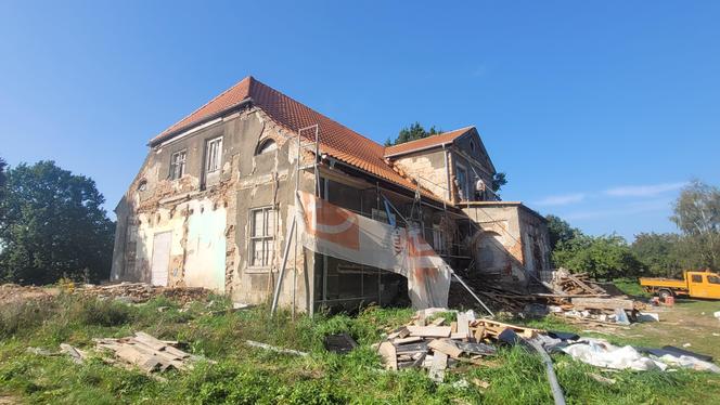 Zapuszczone parki w Olsztynie zyskają nowy blask. Miasto ogłosiło przetargi