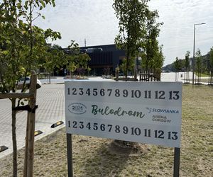 Zapraszają do gry w bule 