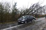 Orkan Grzegorz w Małopolsce: Zerwane dachy, powalone drzewa [ZDJĘCIA, AUDIO]