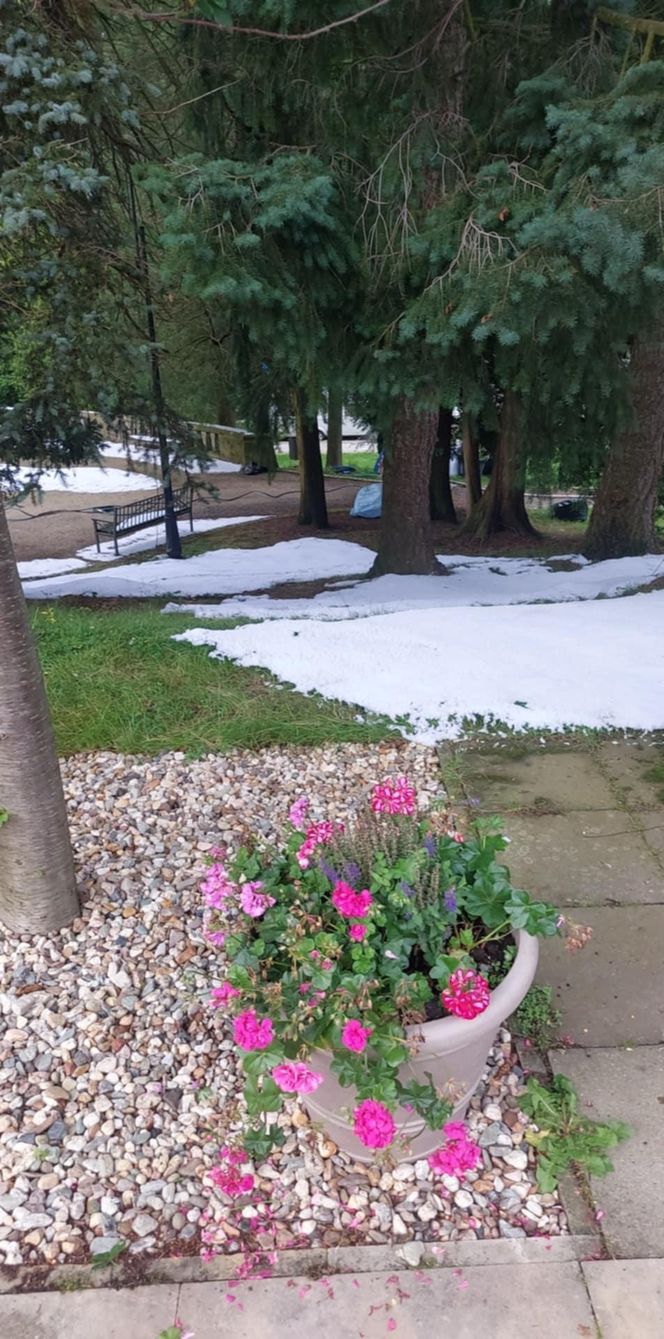 Środek lata, a tam… zima. Co się dzieje w Świeradowie-Zdroju? 