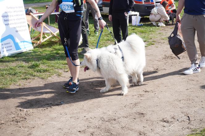 Dogtrekking w Poznaniu