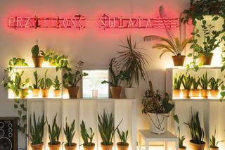 Komuna Warszawa - Kwartał społeczno-kulturalny Emlii Plater 29-31