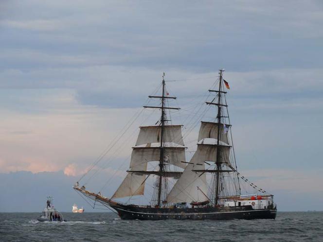 ParadaZagleGdyni2014_FotMZwierz_710382