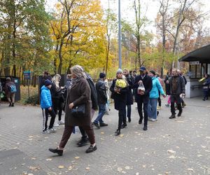 Tłumy na cmentarzu na Miłostowie