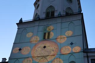 Dzień Cebularza 2024 w Lublinie