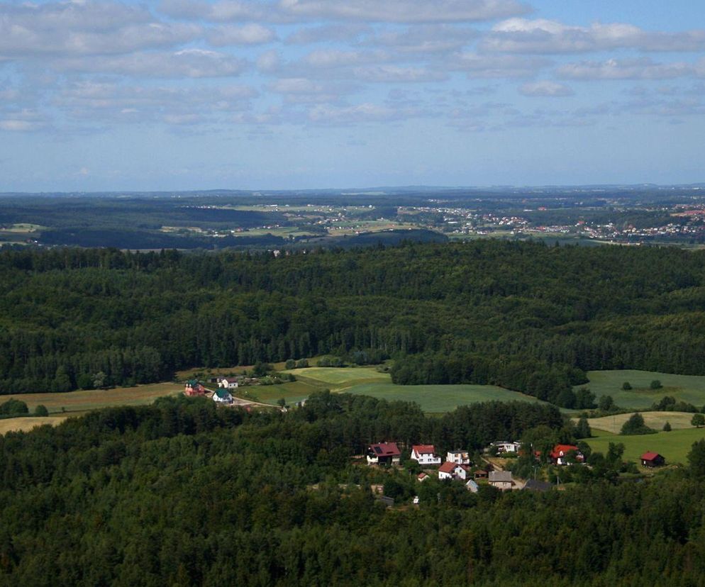 To najlepsza wieś do życia w woj. pomorskim. Cisza i spokój, blisko Trójmiasta