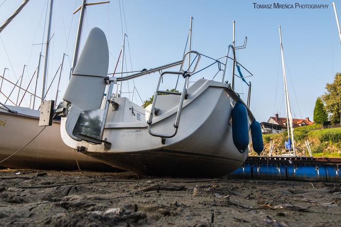 Susza w Jeziorze Żywieckim