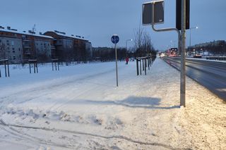 Śnieżna noc za nami. Czy zima zaskoczyła mieszkańców Poznania? 