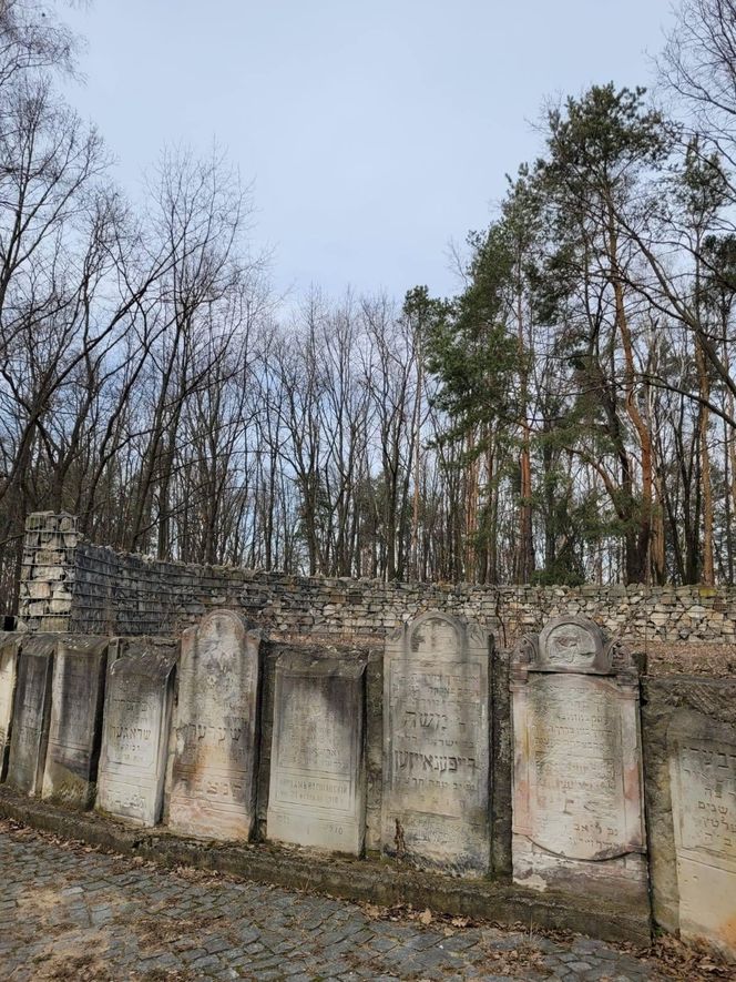 Prace archeologiczne na cmentarzu żydowskim na Bródnie (marzec 2025)