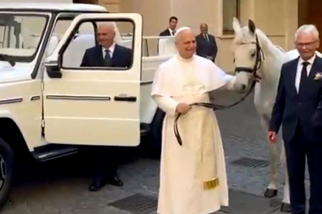 Papież Leon XIV otrzymał w środę białego konia czystej krwi arabskiej ze stadniny w Kołobrzegu-Budzistowie