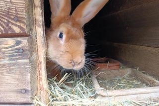 W pożarze stracili dorobek życia 