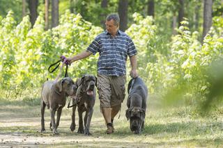 Andrzej Halicki z psami